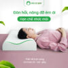 Gối Nằm Cao Su Lượn Sóng Việt Nhật – NEM VIET NHAT Goi nam cao su EC 02