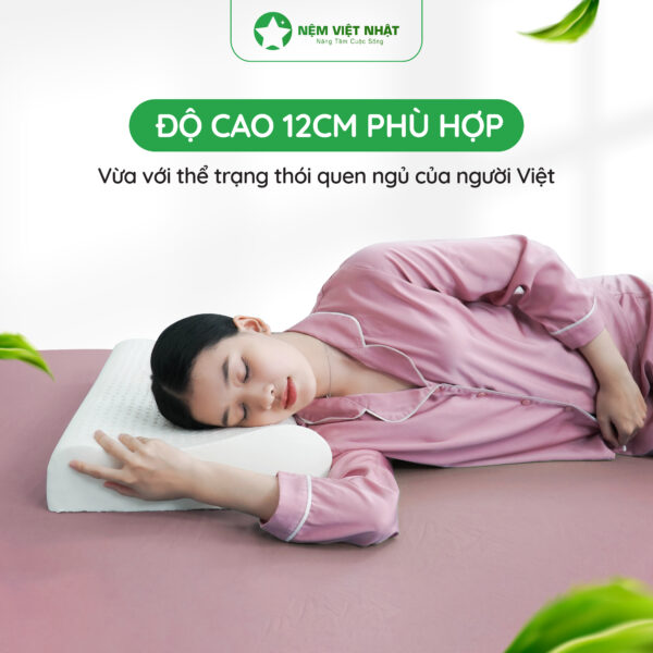 Gối Nằm Cao Su Lượn Sóng Việt Nhật – NEM VIET NHAT Goi nam cao su EC 06