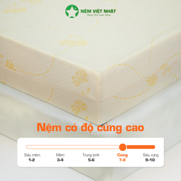 Nệm Foam Việt Nhật Latex Gold – ảnh 5