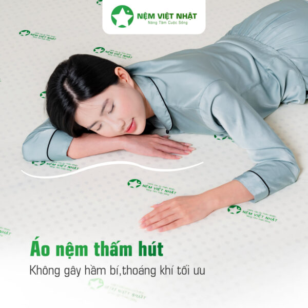 Nệm Cao Su Thiên Nhiên Việt Nhật Natural – Natural 23