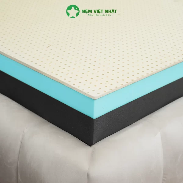 Nệm Foam Latex Việt Nhật Enzo- Gấp Đôi Êm Ái, Chuẩn Khách Sạn – ảnh 6