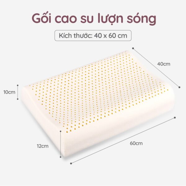 Tặng gối cao su 2