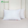 [Tặng] 02 Gối Nằm Gòn Cao Cấp – ảnh 15