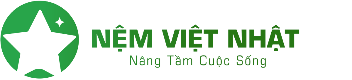 nemvietnhat logo mới