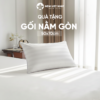[Tặng] 02 Gối Nằm Gòn Cao Cấp – Qua tang Goi gon 50x70cm