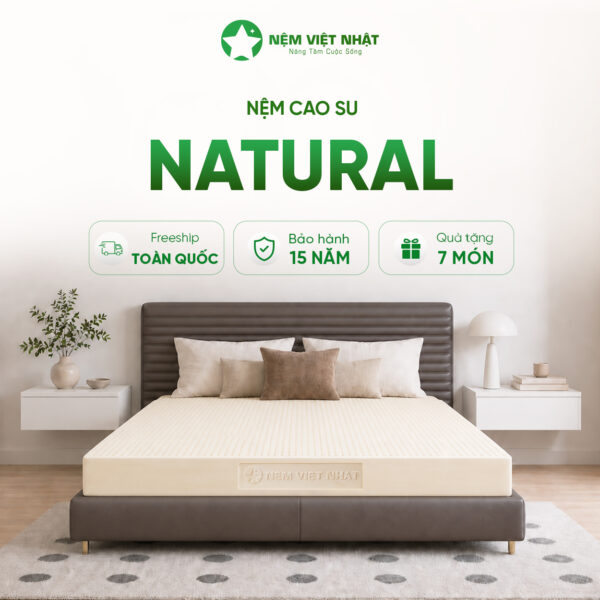 Nệm Cao Su Thiên Nhiên Việt Nhật Natural – NATURAL 2