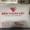 Gối Nằm Lông Vũ Khách Sạn Việt Nhật – ảnh 106