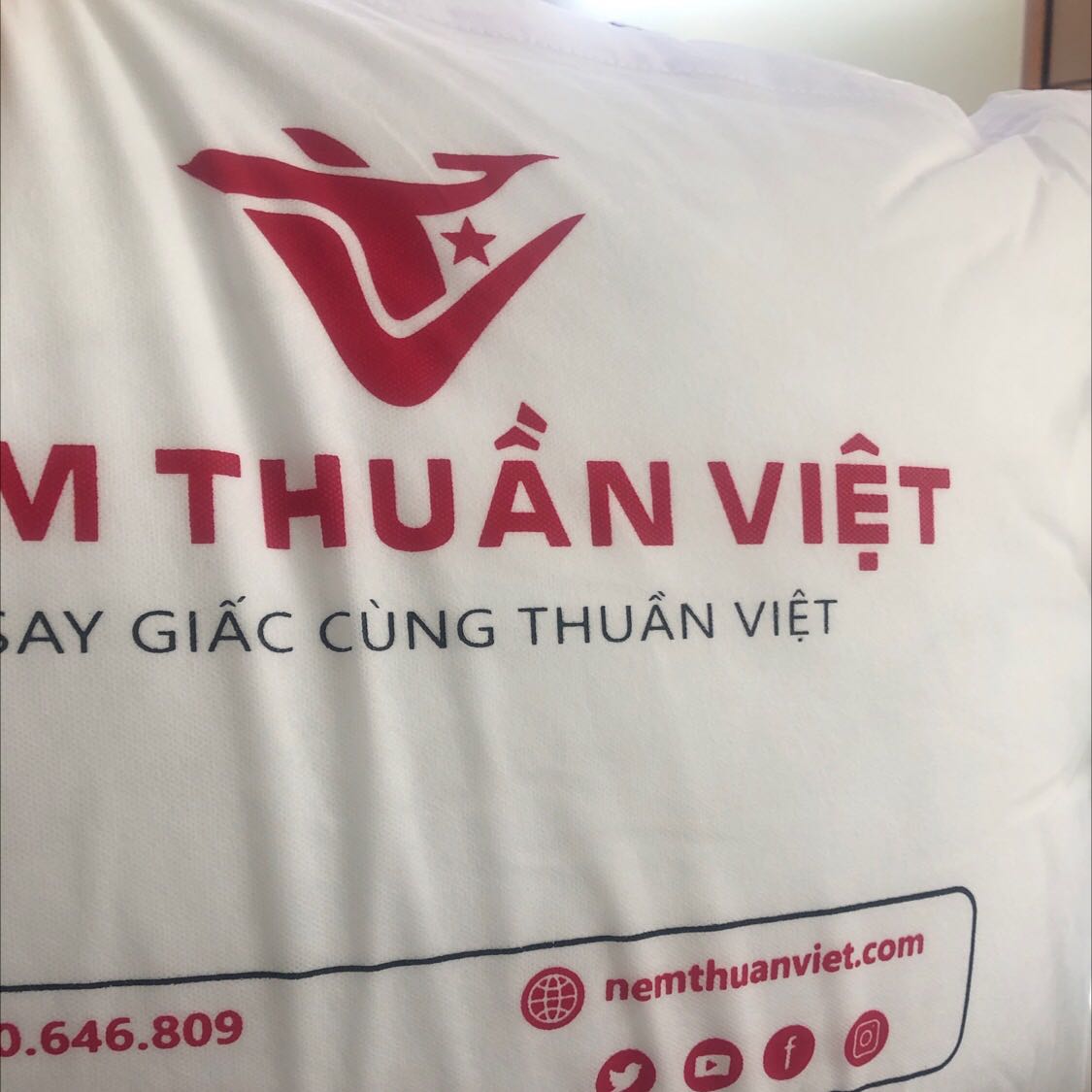 Gối Nằm Lông Vũ Khách Sạn Việt Nhật – ảnh 72